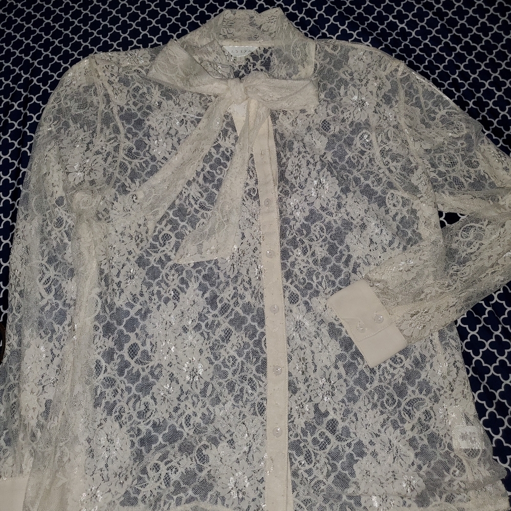 Sheer Lace Blouse ivory
